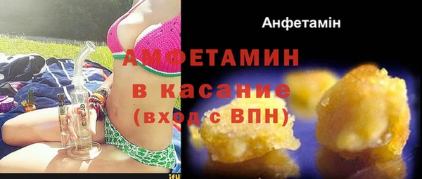 шишки Алзамай