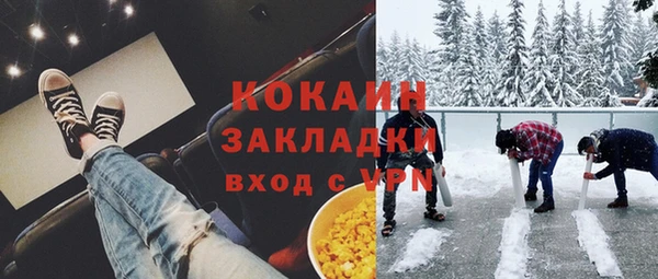 шишки Алзамай