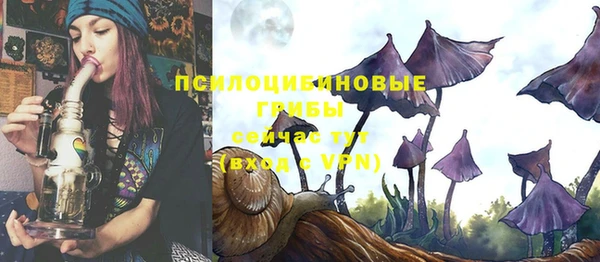 шишки Алзамай