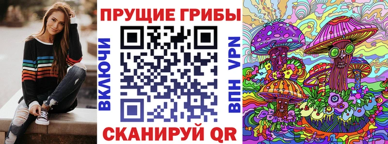 Псилоцибиновые грибы Magic Shrooms  мега tor  Гаврилов Посад 